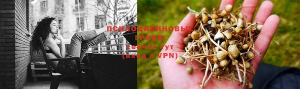 кокаин премиум Беломорск
