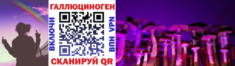 Псилоцибиновые грибы GOLDEN TEACHER Кунгур