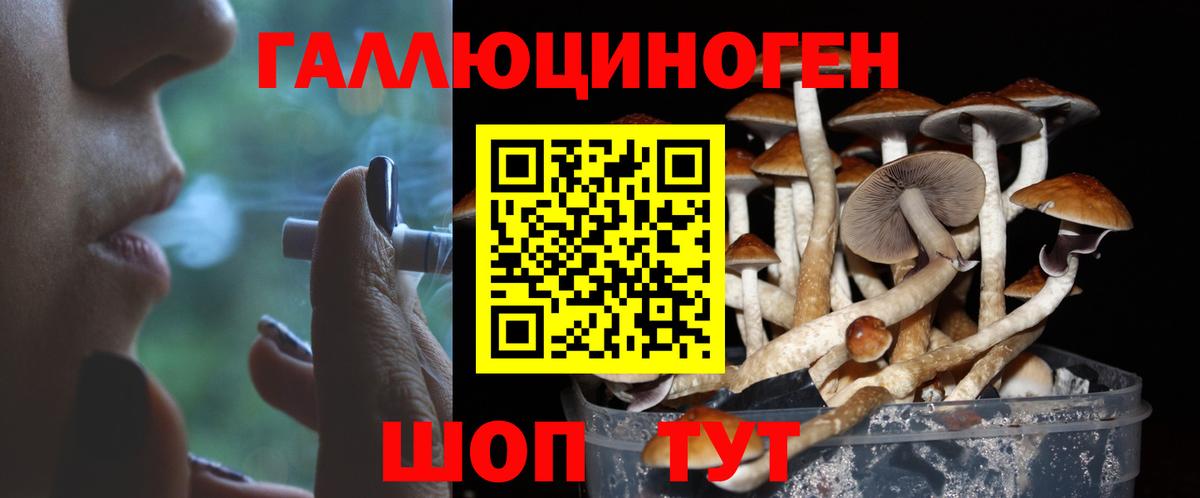 Кунгур  Псилоцибиновые грибы прущие грибы  Вход с VPN 